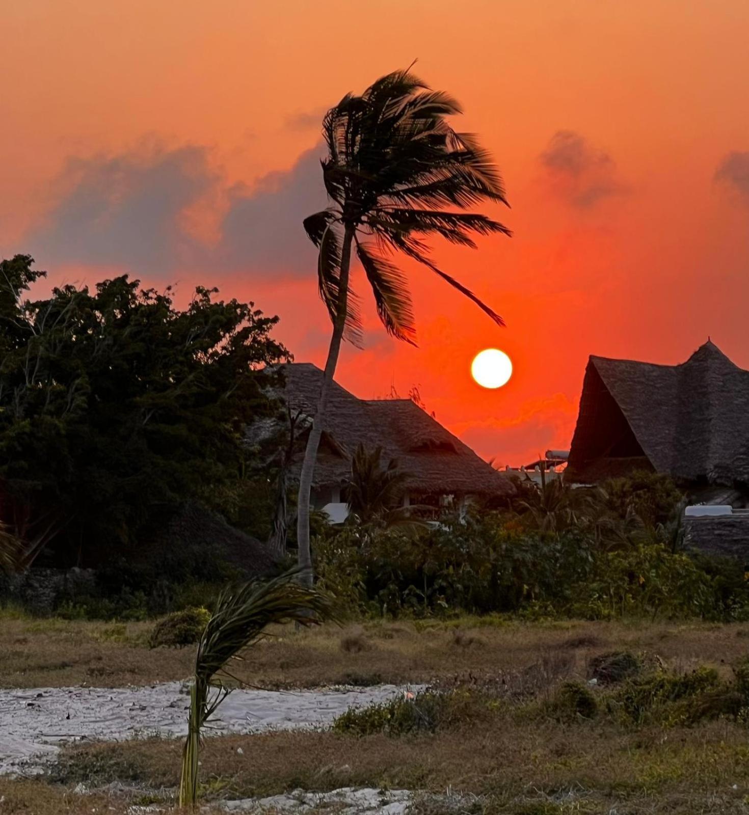 Shira House Bed & Breakfast Watamu Exterior photo